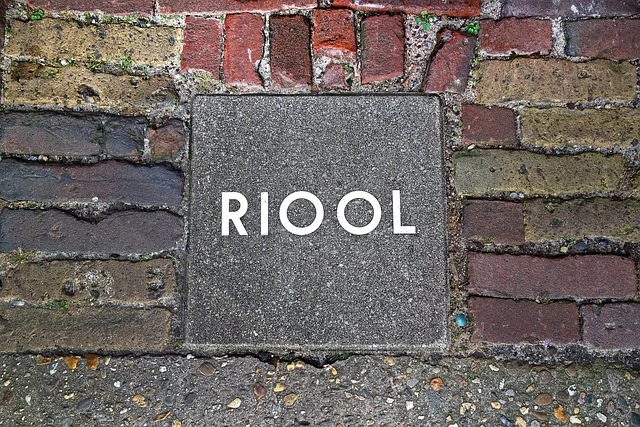 Rioolvliegjes komen vaak voor in het riool