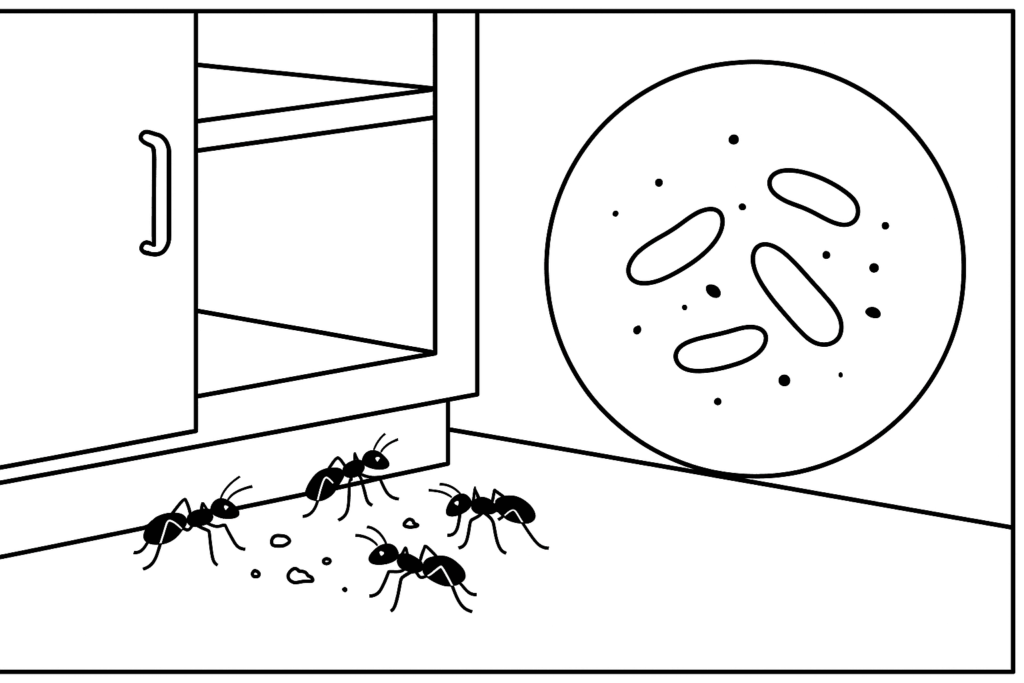 Close-up-van-mieren-in-een-keukenkast-met-kruimels_-naast-een-detailfoto-van-kakkerlakontlasting