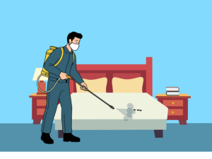 Wat te doen tegen bedwantsen