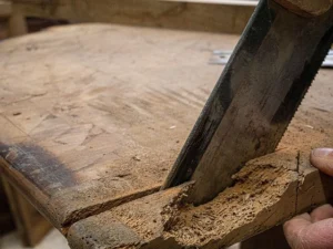 Wat te doen tegen houtworm